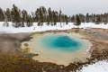 29 Yellowstone NP